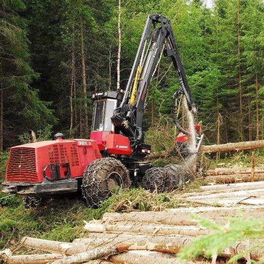 Tømmerkonto – ny måte å skattlegge inntekter fra skog